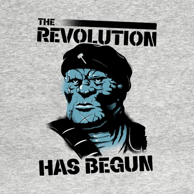 The Revolution Has Begun by DCLawrenceUK